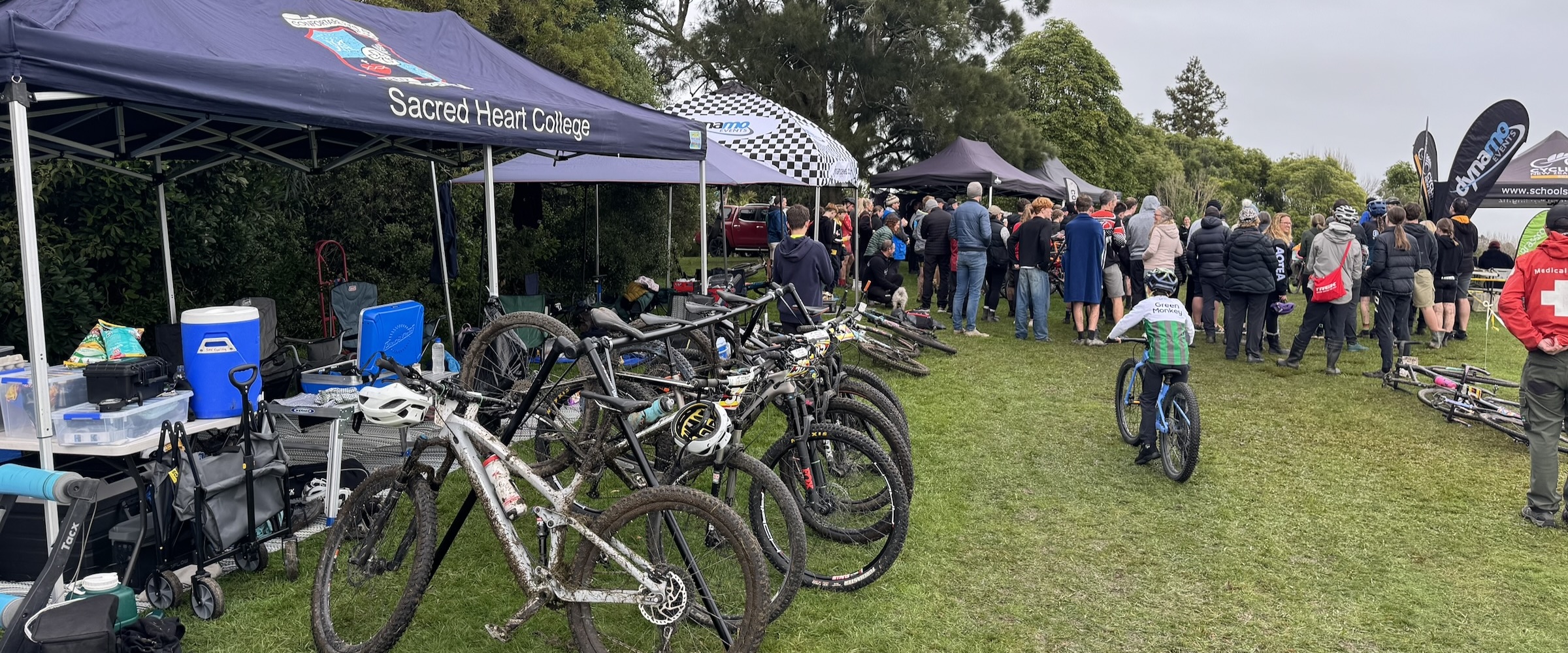 Gear cable replacement